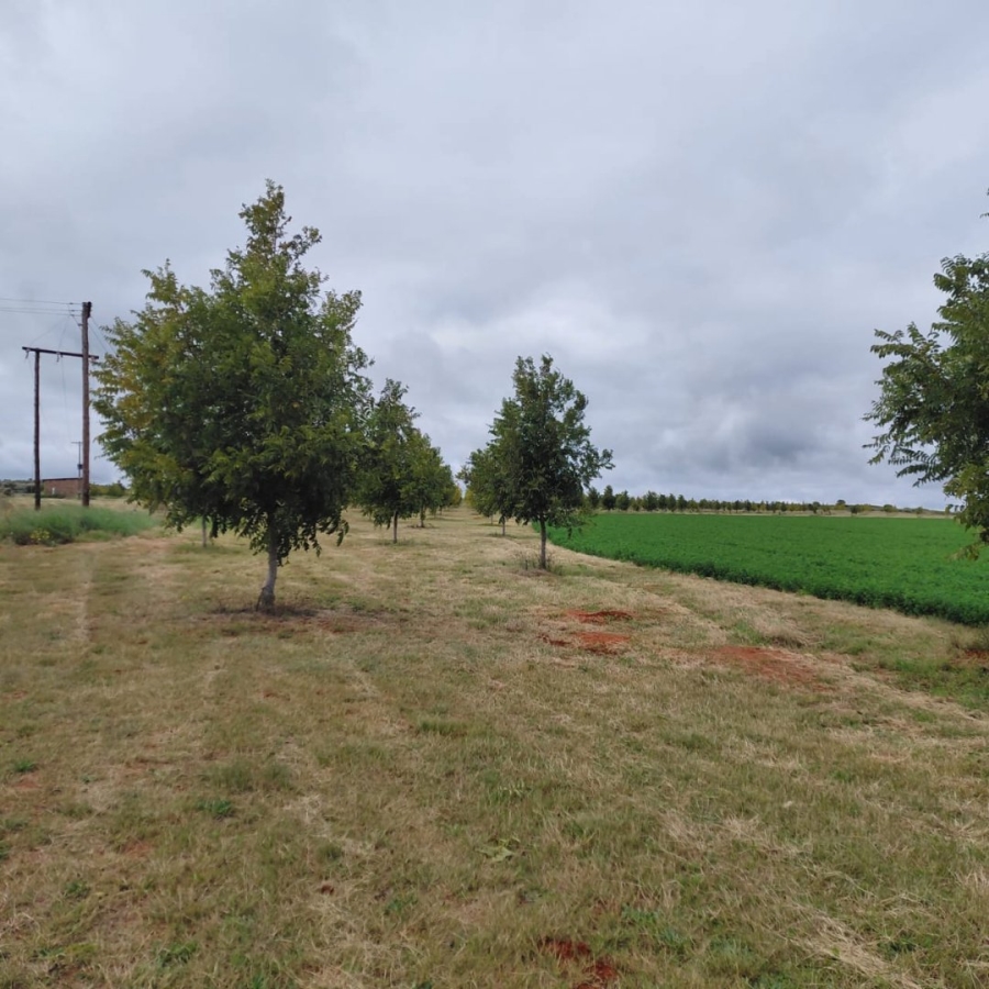 Commercial Property for Sale in Warrenton Northern Cape
